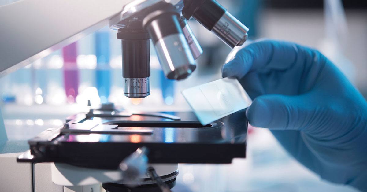 Elegant White Wallpaper with Golden Details